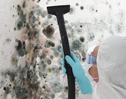 Environmental Consulting for Mold Prevention in Liberty, UT